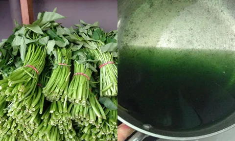 3 đặc điểm nhận biết rau có thuốc trừ sâu cực dễ không phải ai cũng biết