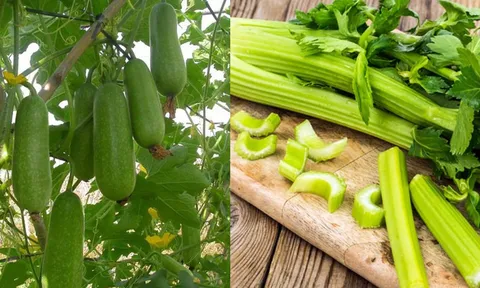 5 loại rau có dư lượng thuốc trừ sâu cực ít, đắt mấy cũng nên mua về