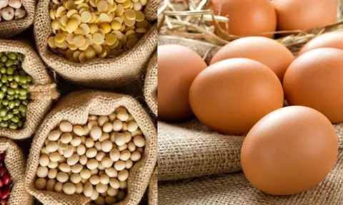 4 thực phẩm giúp sĩ tử tăng cường trí nhớ khi mùa thi cận kề