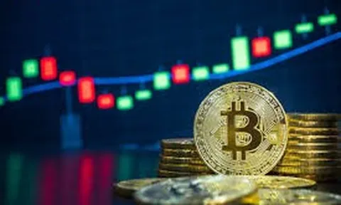 Giá Bitcoin ngày 12/7/2023: Các mã tăng trở lại