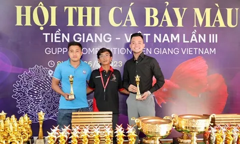 Hành trình kiếm tiền tỷ nhờ công việc nuôi "Cá Bảy màu" của chàng trai 9X