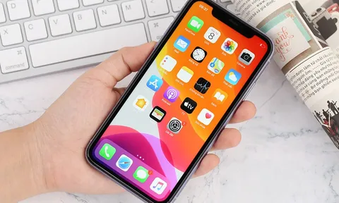 iPhone 15 sắp ra mắt, có nên mua iPhone 11 được giảm cả nửa giá trong tháng 7/2023?