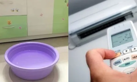 Đặt 3 đồ vật này trong phòng khi bật điều hòa, vừa tiết kiệm điện, vừa bảo vệ sức khỏe