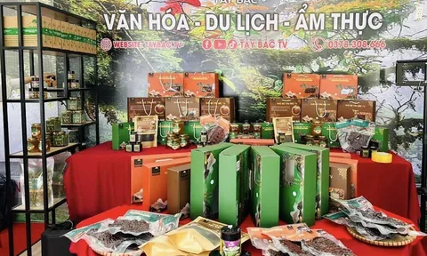 TÂY BẮC TV mong muốn đưa ẩm thực Tây Bắc, niềm tự hào của người Việt đến khắp năm châu