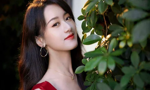 'Tiểu Triệu Lệ Dĩnh' gặp vận đen sau ồn ào trốn thuế
