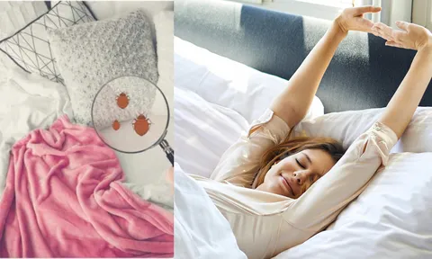 Mỗi sáng thức dậy làm việc này bằng ăn trăm củ nhân sâm, uống triệu tổ yến: Cơ hội trường thọ