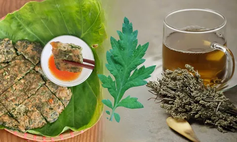 Loại cây mọc dại hình dạng xấu nhưng được xem là lộc 'trời cho', phơi khô được ví như thần dược