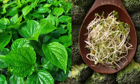 Những loại rau không nên nấu canh, đun sôi thành chất độc hại sức khỏe: Số 3 nhiều người ăn