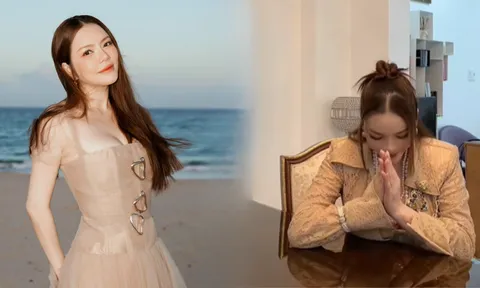 Sau đăng đàn xin lỗi, Lý Nhã Kỳ lại gặp 'kiếp nạn' mới: Người hâm mộ bất an