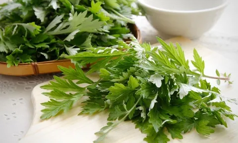 Ngải cứu hầm với thực phẩm này tốt ngang sâm quý, vừa ngon lại rẻ bèo mà công dụng bất ngờ