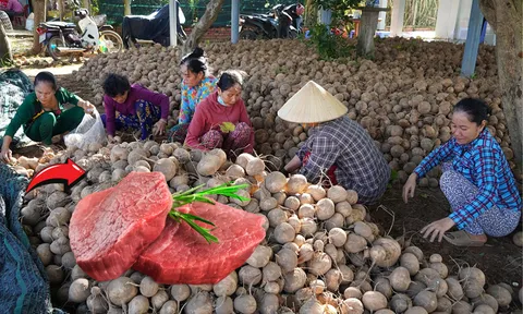 Loại củ rẻ bèo nhưng tốt hơn thịt bò, đổ đống ở chợ mà chị em lướt qua: Mùa đông phải thử!