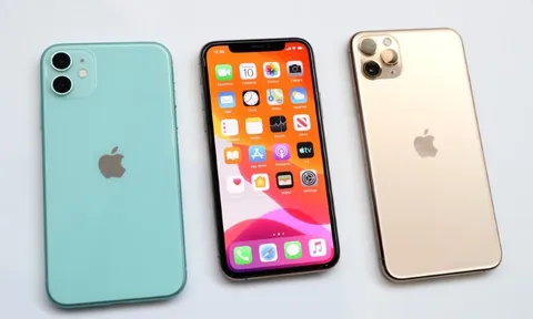 Phân loại các dòng máy và hướng dẫn cách kiểm tra dòng iPhone 11 series cũ