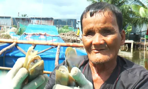 Bí quyết đi biển của người đàn ông mù một đời mưu sinh nơi dòng biển cạn