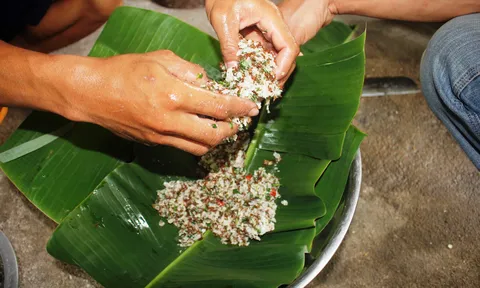 Bí ẩn tộc người ăn gỏi kiến, sống dưới chân núi Chư Mom Ray huyền thoại
