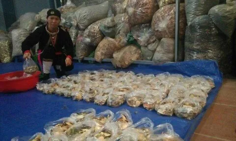 Kỳ 6: “Người thầy thuốc cốt chữa được bệnh, không cầu danh cũng chẳng màng lợi"