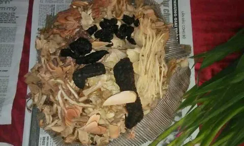 Kỳ 7: Cụ bà U66 thoát bệnh tiểu đường nhờ lời chỉ dẫn… tìm gặp "thần y núi Tản”