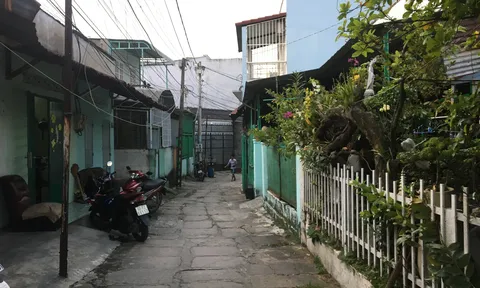 Hồi sinh từ làng phong Tam Hiệp