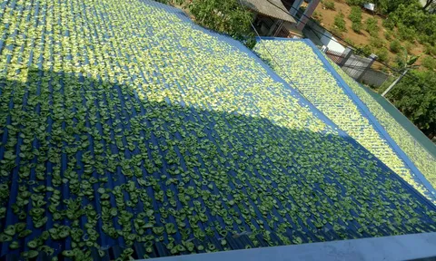 Hàng ngàn bệnh nhân đã thoát bệnh xương khớp như thế nào?