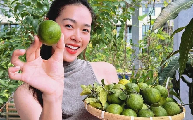 “Ngọc nữ trăm tỷ” tuổi 33 làm mẹ đơn thân, sống trong nhà phố 100m², lên sân thượng là cả vườn rau trái xanh mướt